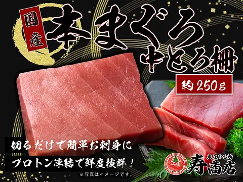 国産本マグロ中トロ柵〈養殖〉【最新技術！プロトン凍結】【切るだけでお刺身に】【冷凍便限定】