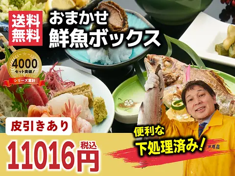 【皮引き加工あり】【冷蔵便・冷凍便】シリーズ累計4000箱突破！10000円コース★魚屋の森さん 国産商品/おまかせ鮮魚BOX【便利な下処理付き】