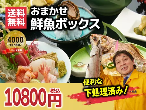 【冷蔵便・冷凍便】シリーズ累計4000箱突破！10000円コース★魚屋の森さん 国産商品/おまかせ鮮魚BOX【便利な下処理付き】