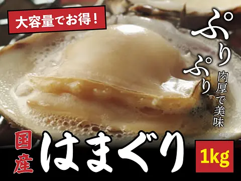 【冷凍便】【業務用】活きはまぐり（ハマグリ・蛤）約1kg