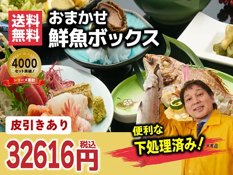 【皮引き加工あり】【冷蔵便・冷凍便】シリーズ累計4000箱突破！価格から選べる★魚屋の森さん 国産商品/おまかせ鮮魚BOX【便利な下処理付き】