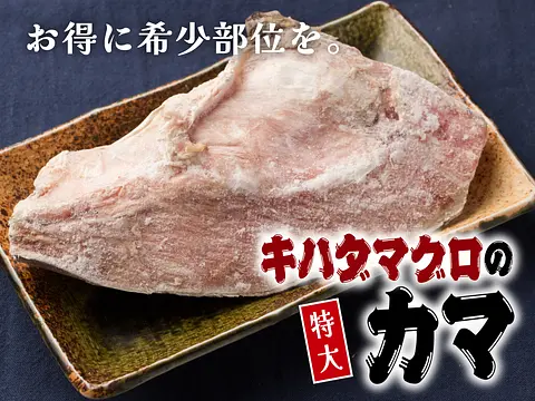 【冷凍便限定】【特大】キハダマグロ（鮪/まぐろ）のカマ(かま)１個