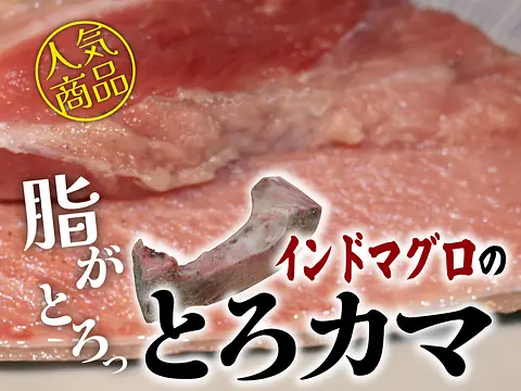 業務用【特大】インドまぐろ（鮪・マグロ）トロかま1個