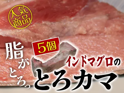 【冷凍便限定】＜お値打ちな５個セット＞業務用【特大】インドまぐろ（鮪・マグロ）トロかま